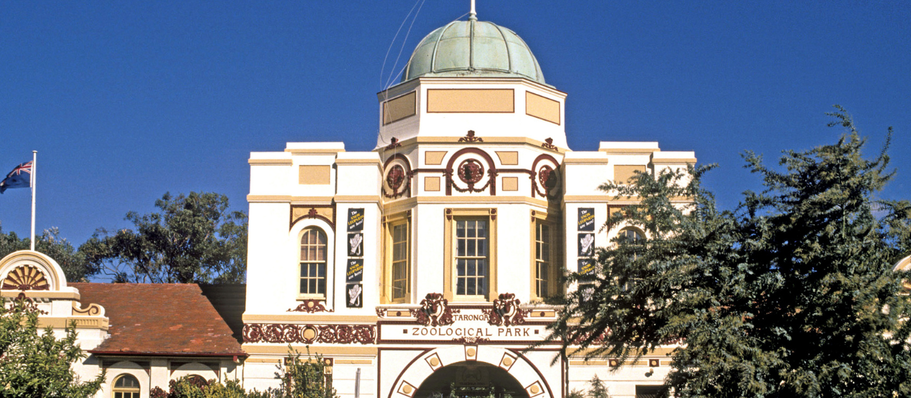 Taronga Zoo Visitor Guide: Tips, Tickets, Rides & When to Go | laimi.com