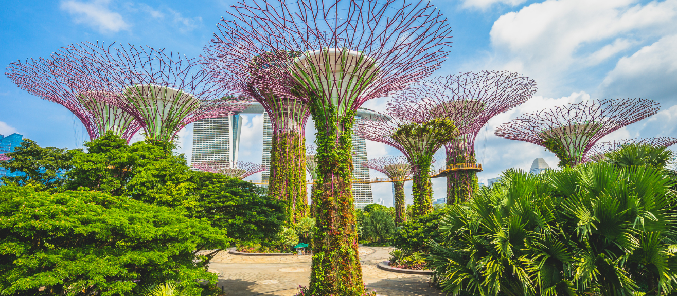 Gardens by the Bay Visitor Guide: Tips, Tickets, Rides & When to Go | laimi.com