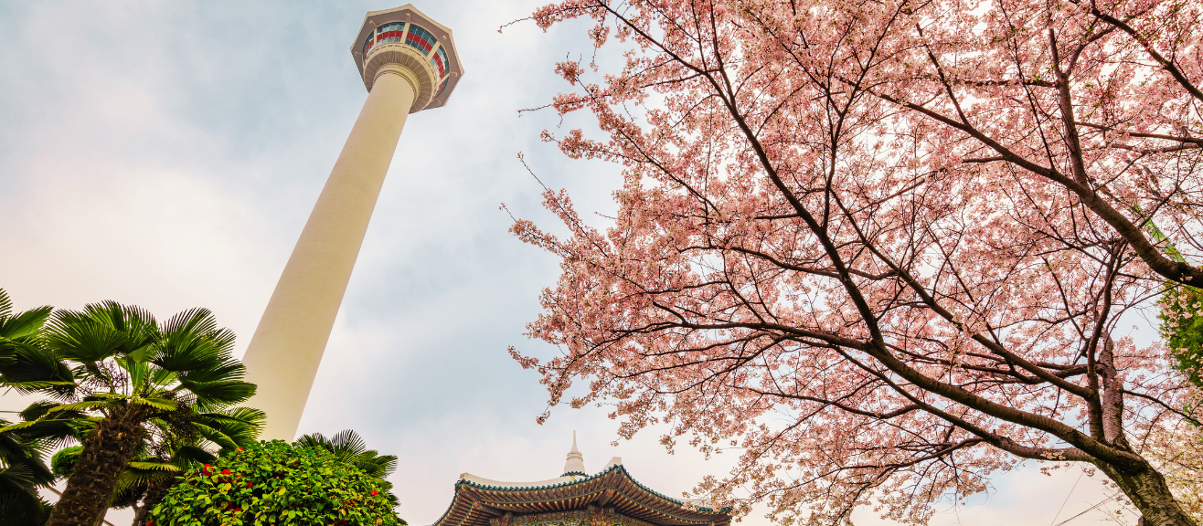 Busan Tower Visitor Guide: Tickets, Viewpoints, Opening Hours & Travel Tips | laimi.com