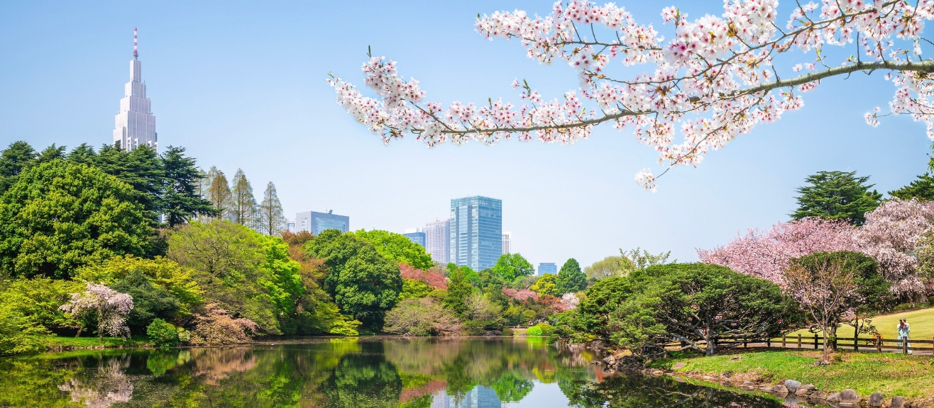 Shinjuku Gyoen Guide: Hours, Seasonal Highlights & Visitor Tips | laimi.com