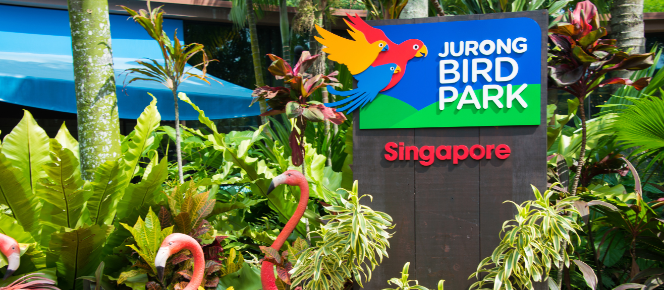 Jurong Bird Park Visitor Guide: Tips, Tickets, Rides & When to Go | laimi.com