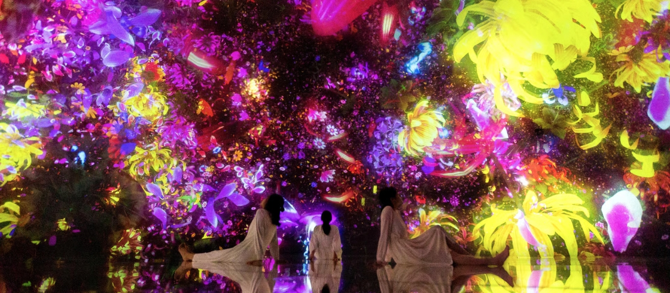 TeamLab Planets Visitor Guide: Tickets, Exhibits & Best Times | laimi.com