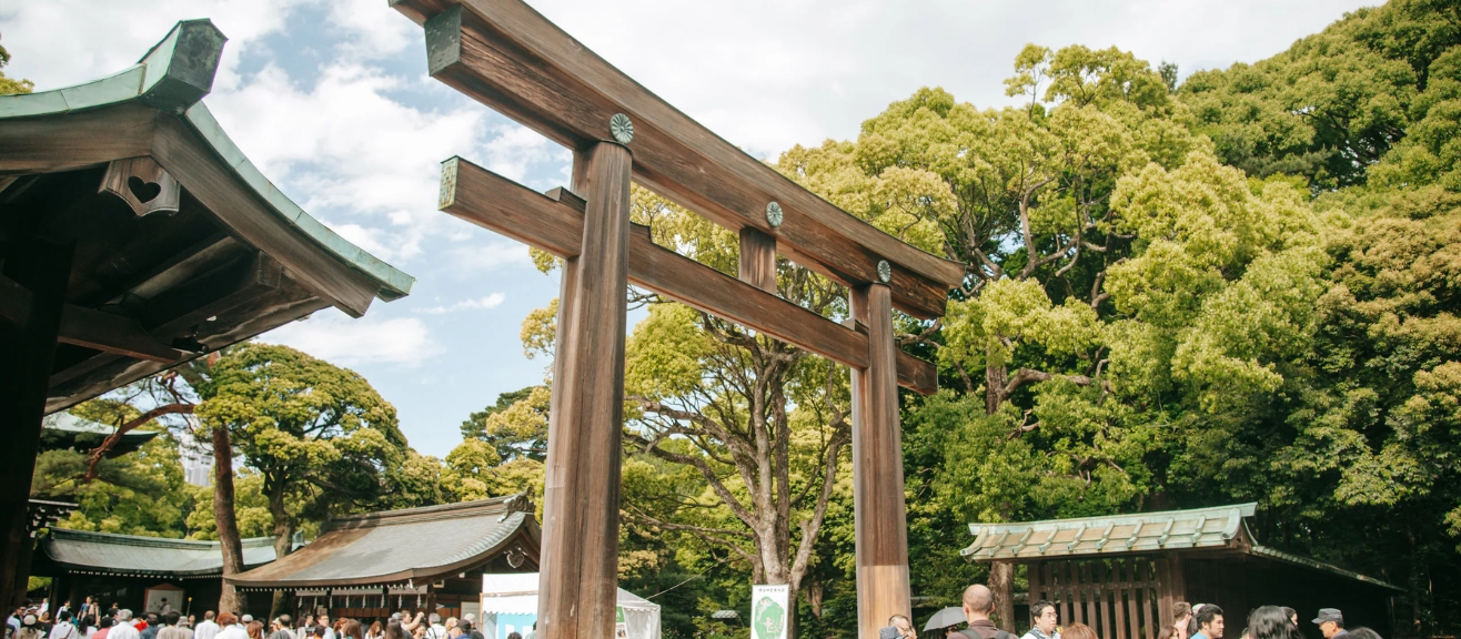 Meiji Jingu Shrine Visitor Guide: History, Visit Tips & Best Time | laimi.com