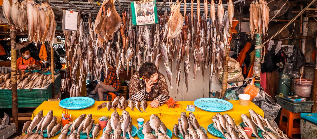 Visiting Jagalchi Fish Market: Fresh Seafood, Sashimi & Restaurant Tips | laimi.com