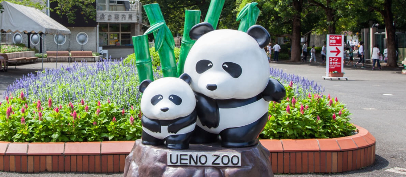 Ueno Zoo Visitor Guide: Tickets, Animal Highlights & Hours | laimi.com