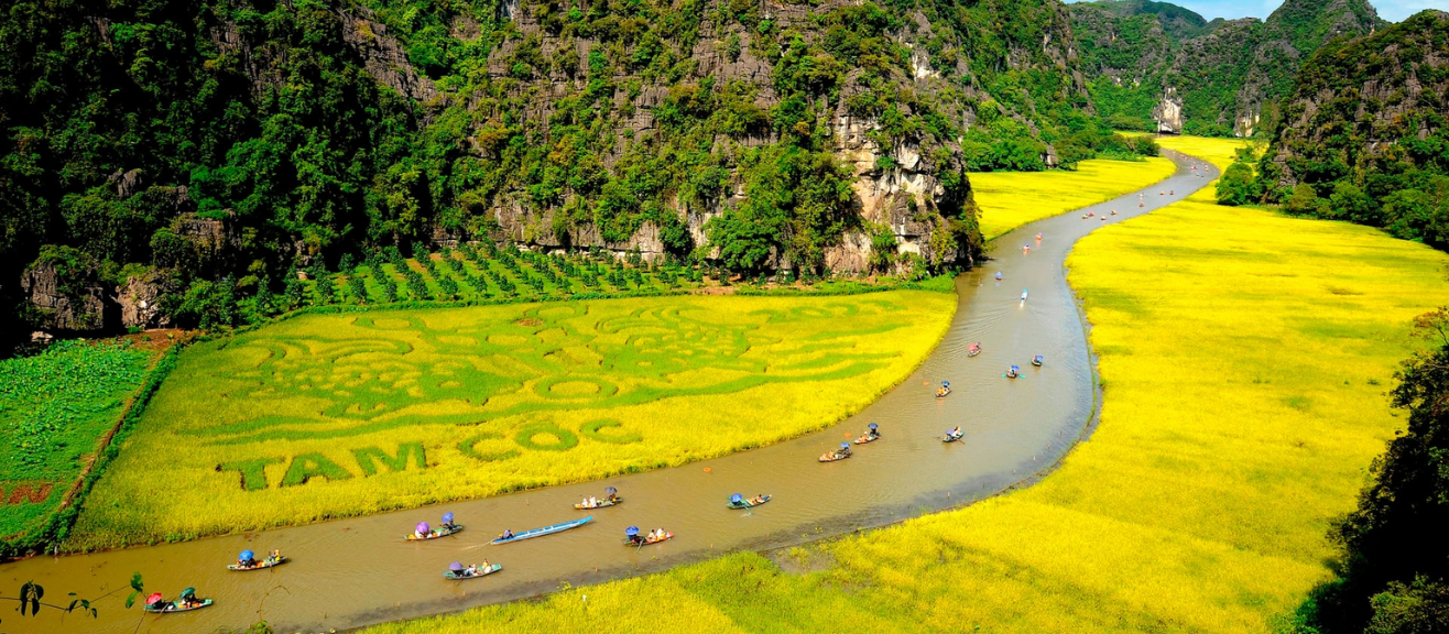 Tam Coc Bich Dong Visitor Guide: Boat Trip, Caves & Local Tips | laimi.com